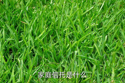 家庭信托是什么