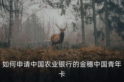 農(nóng)行青年卡是什么意思，中國農(nóng)業(yè)銀行中國青年卡屬于何種卡