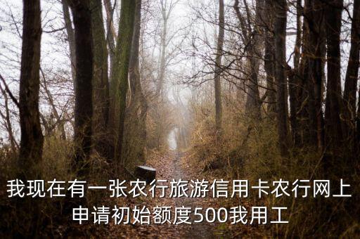 農(nóng)行旅游卡額度多少時間，我現(xiàn)在有一張農(nóng)行旅游信用卡農(nóng)行網(wǎng)上申請初始額度500我用工