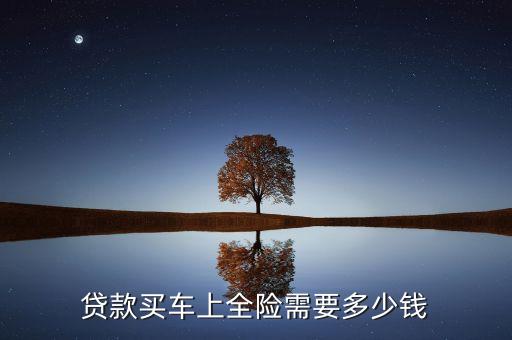 貸款買車上全險(xiǎn)需要多少錢