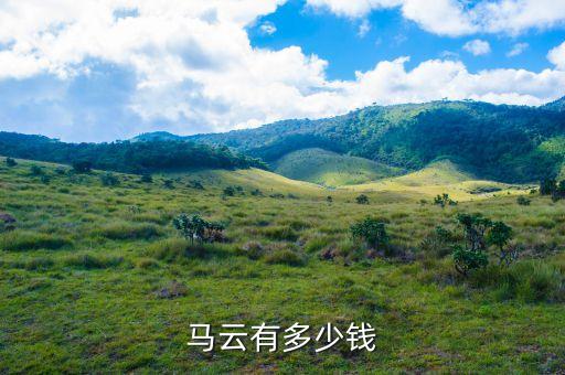 馬云有多少錢