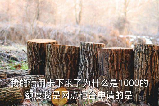 我的信用卡下來了為什么是1000的額度我是網(wǎng)點(diǎn)柜臺(tái)申請的是