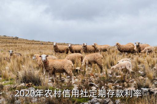 2020年農(nóng)村信用社定期存款利率