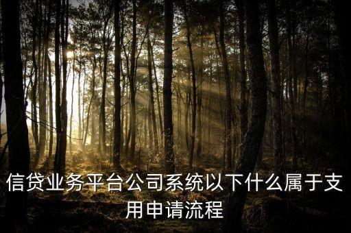 信貸業(yè)務(wù)平臺公司系統(tǒng)以下什么屬于支用申請流程