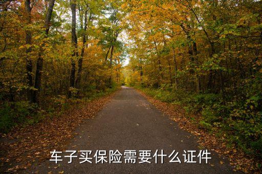 車子買保險需要什么證件
