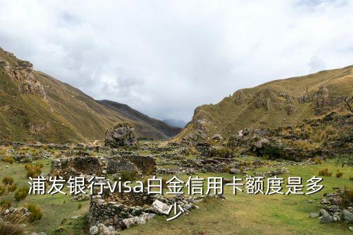 浦發(fā)銀行visa白金信用卡額度是多少