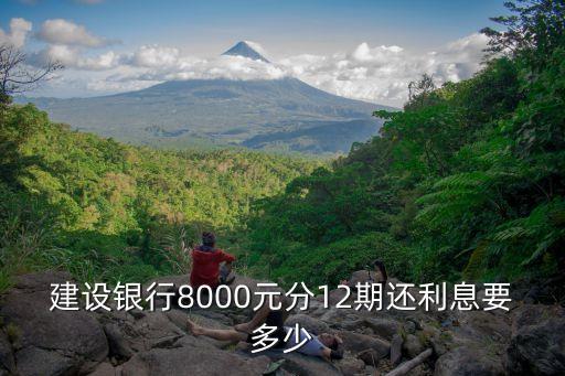 建設(shè)銀行8000元分12期還利息要多少
