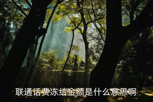 聯(lián)通話費凍結(jié)金額是什么意思啊