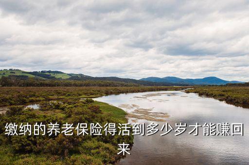 買社保活到多少歲回本，買社保什么時候才拿回本錢