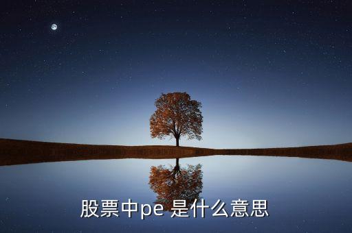 股票中pe 是什么意思