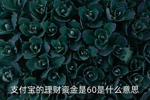 投資理財(cái)60到60000是什么，支付寶的理財(cái)資金是60是什么意思