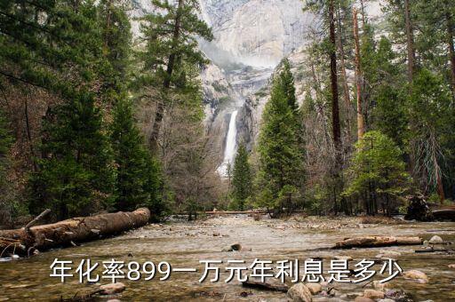 年利率的899是多少，年化率899一萬元年利息是多少