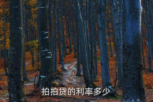 拍拍貸的利率多少