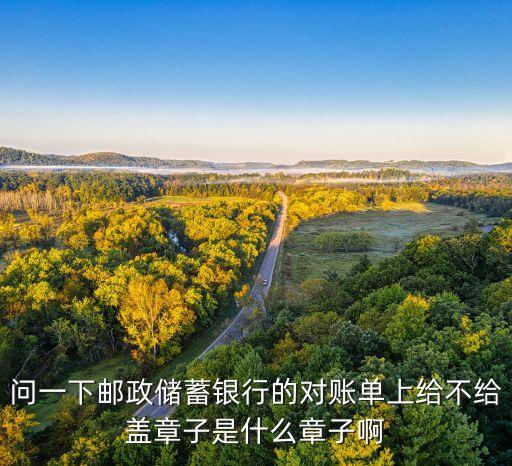 問一下郵政儲(chǔ)蓄銀行的對賬單上給不給蓋章子是什么章子啊