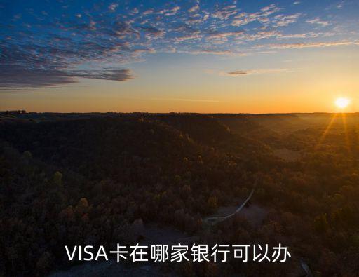 visa卡什么銀行辦理，哪個銀行可以辦visa的銀行卡