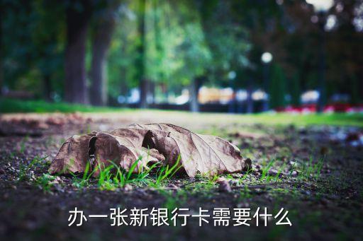 辦新的銀行卡需要什么，辦一張新銀行卡需要什么