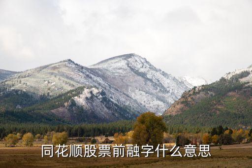 同花順股票前融字什么意思