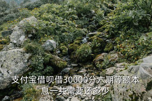 支付寶借唄借30000分六期等額本息一共需要還多少