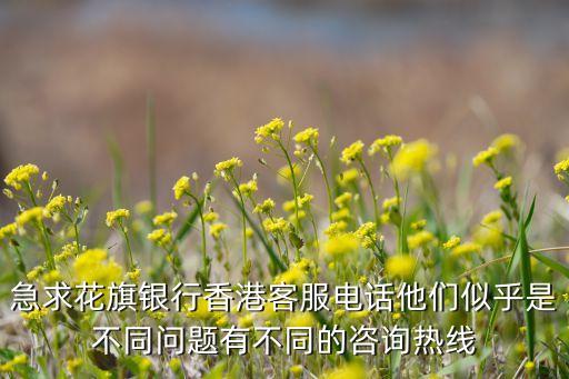 花期銀行電話多少，各家銀行的客戶服務熱線是多少阿