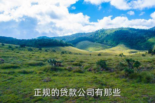 正規(guī)的貸款公司有那些