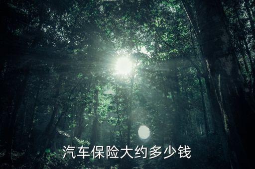 汽車保險(xiǎn)大約多少錢