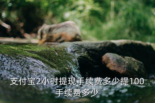 手機(jī)提現(xiàn)100手續(xù)費(fèi)多少，微信提現(xiàn)100元要扣多少錢
