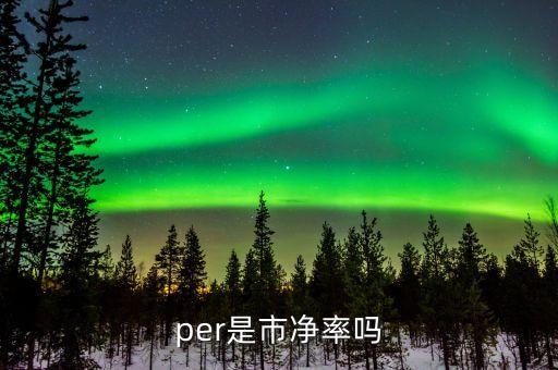 保險公司市凈率應多少，per是市凈率嗎