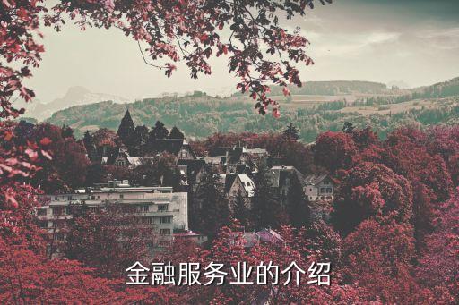 金融服務(wù)業(yè)的介紹