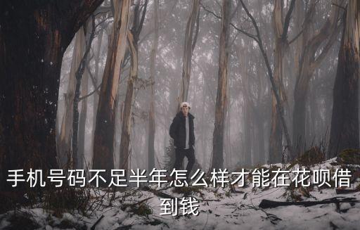 手機號碼不足半年怎么樣才能在花唄借到錢