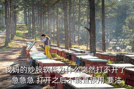 我媽的炒股軟件為什么突然打不開了 急急急 打開之后不能直接用 要注