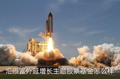 匯添富外延增長主題股票基金怎么樣