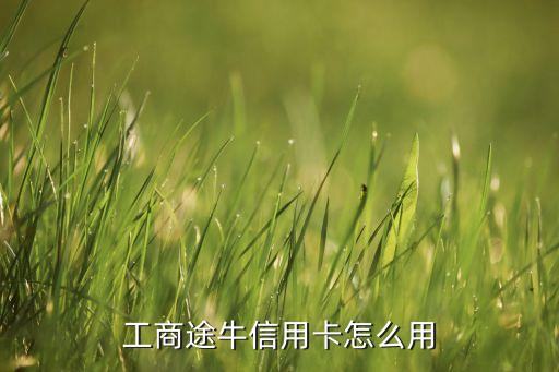工行途?？ㄓ惺裁醋饔?，工行信用卡途牛金卡好用嗎有知道的談?wù)劯惺苤x謝