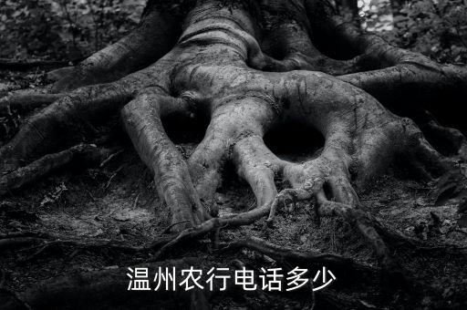 溫州農(nóng)行電話多少