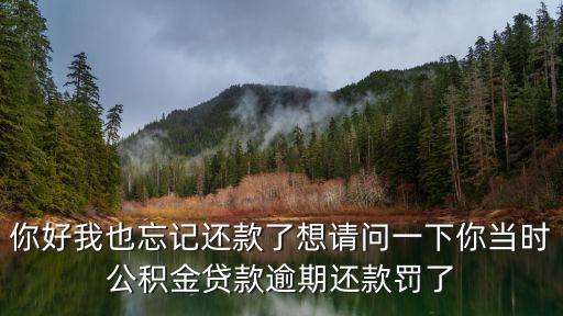 你好我也忘記還款了想請(qǐng)問(wèn)一下你當(dāng)時(shí)公積金貸款逾期還款罰了