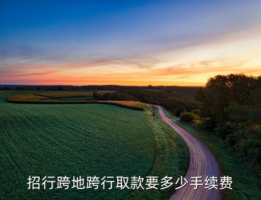 招行跨地跨行取款要多少手續(xù)費(fèi)