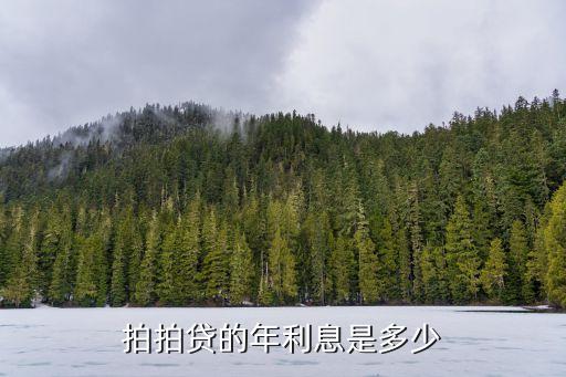 拍拍貸的年利息是多少