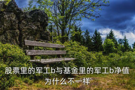 股票里的軍工b與基金里的軍工b凈值為什么不一樣