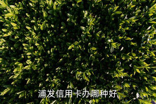 浦發(fā)信用卡辦哪種好