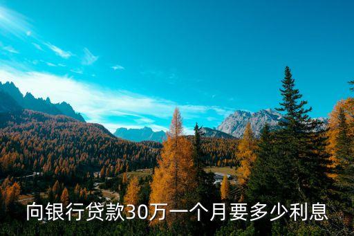 貸款30萬(wàn)利息要多少，向銀行貸款30萬(wàn)一個(gè)月要多少利息