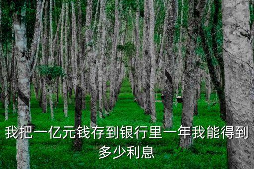 一個億理財一年利息多少，我把一億元錢存到銀行里一年我能得到多少利息