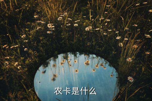 農(nóng)村農(nóng)業(yè)卡是什么意思，農(nóng)卡是什么