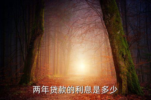 兩年貸款的利息是多少