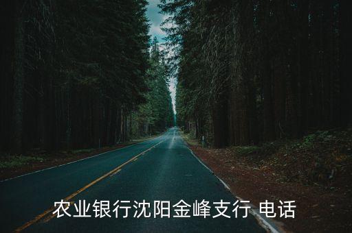 農(nóng)業(yè)銀行沈陽金峰支行 電話