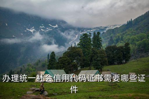 開(kāi)信用代碼證要什么資料，辦理統(tǒng)一社會(huì)信用代碼證書(shū)需要哪些證件