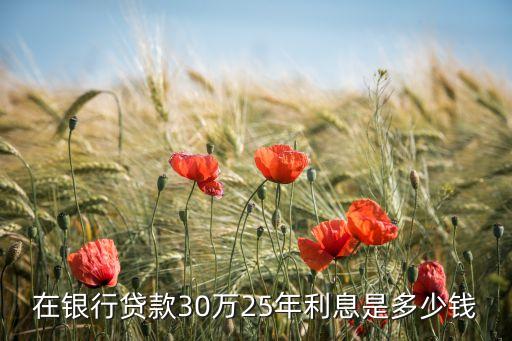 在銀行貸款30萬25年利息是多少錢