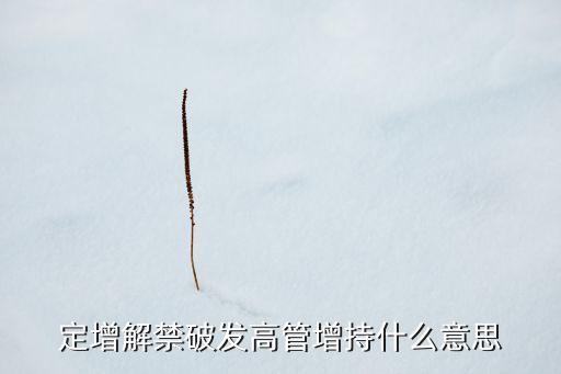 定增解禁破發(fā)高管增持什么意思