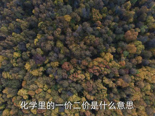 化學(xué)里的一價二價是什么意思