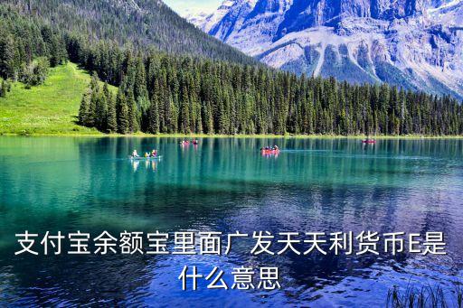 支付寶余額寶里面廣發(fā)天天利貨幣E是什么意思