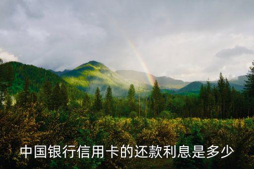 中國銀行信用卡的還款利息是多少