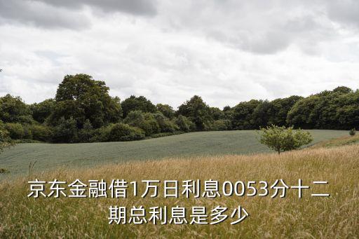 京東金融借1萬日利息0053分十二期總利息是多少